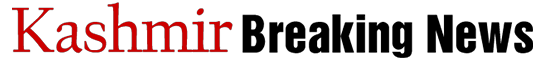 Logo 23